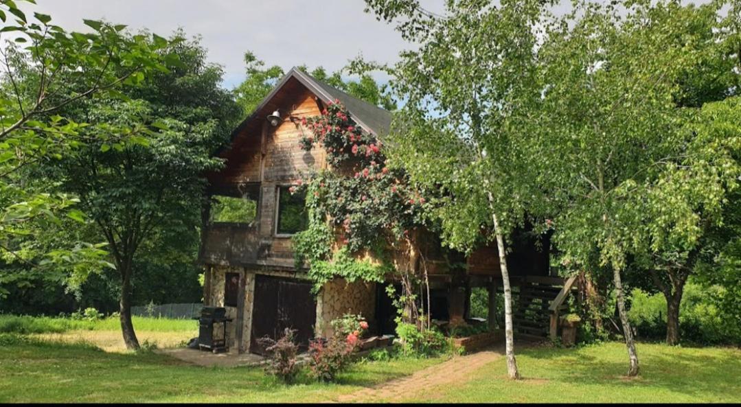 Log Cabin Beograd Eksteriør bilde