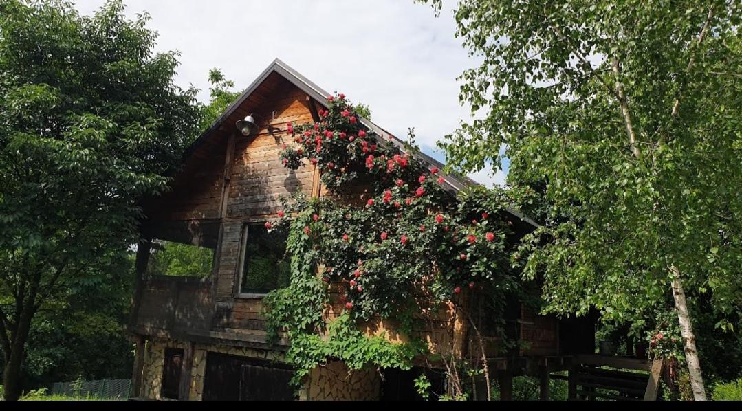 Log Cabin Beograd Eksteriør bilde